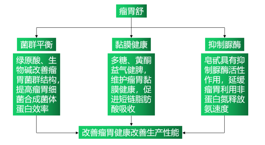博猫游戏