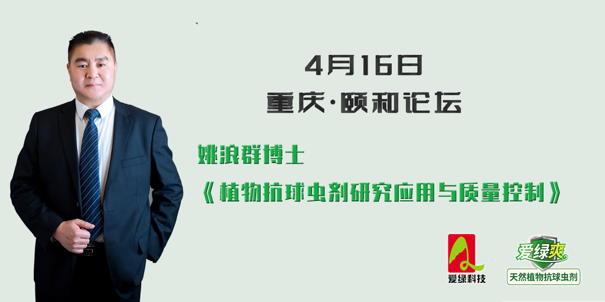 博猫游戏