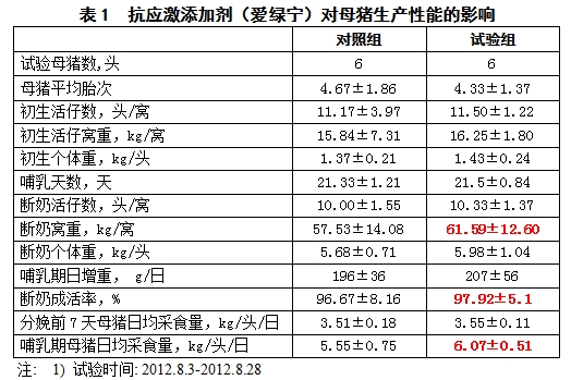 博猫游戏