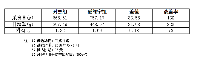 博猫游戏