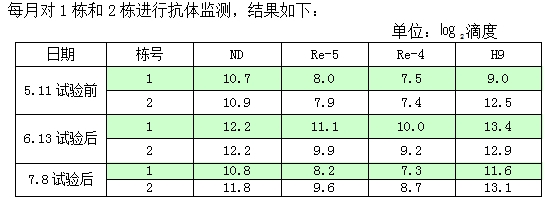 博猫游戏