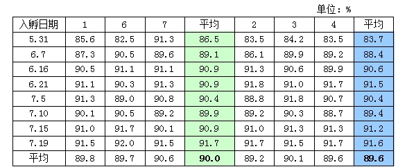 博猫游戏