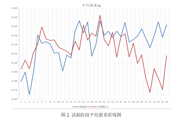 博猫游戏