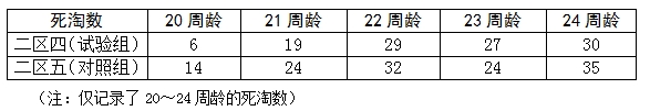 博猫游戏
