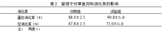 博猫游戏