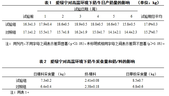博猫游戏