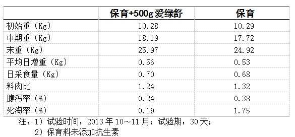 博猫游戏