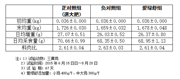 博猫游戏