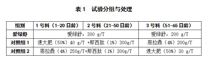 博猫游戏