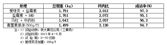 博猫游戏