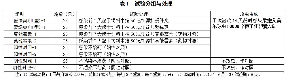 博猫游戏