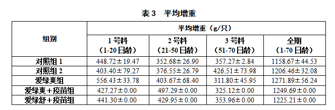 博猫游戏
