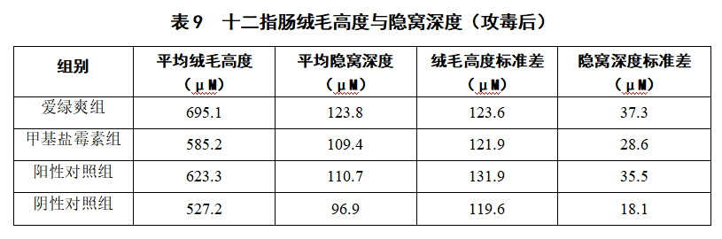 博猫游戏