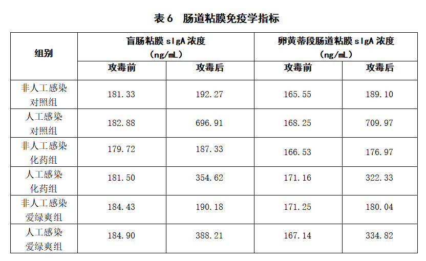 博猫游戏