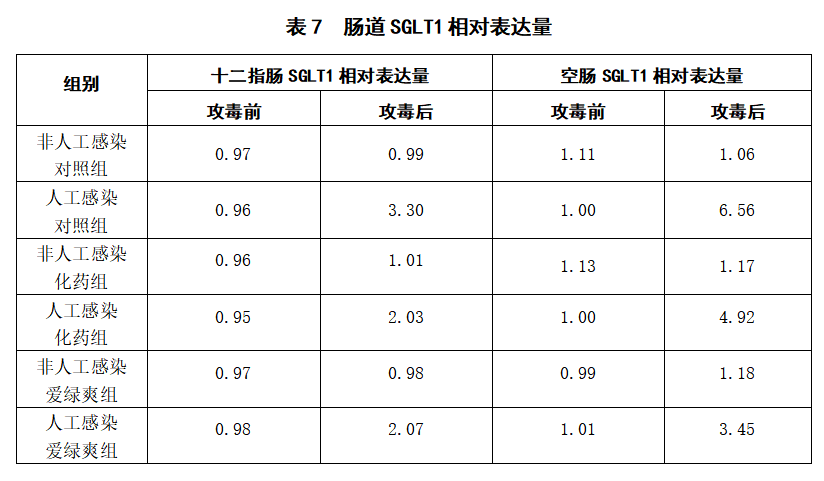 博猫游戏