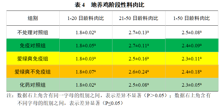 博猫游戏