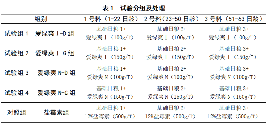 博猫游戏
