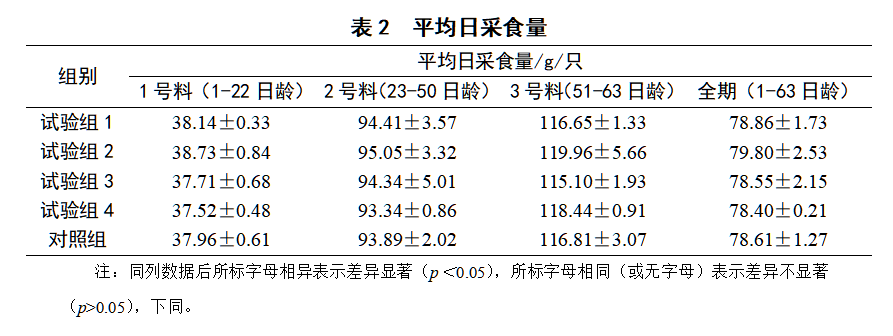 博猫游戏