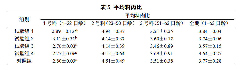 博猫游戏