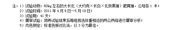 博猫游戏