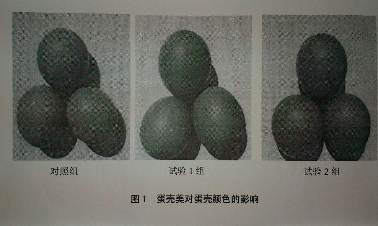 博猫游戏·(中国)官网登录入口