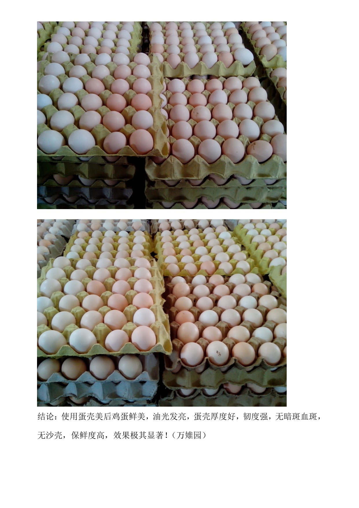 博猫游戏·(中国)官网登录入口