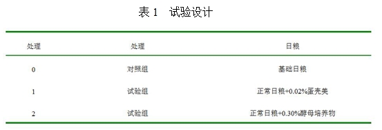 博猫游戏