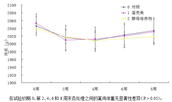 博猫游戏