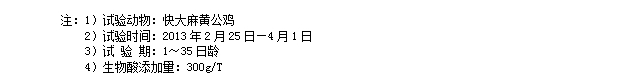 博猫游戏