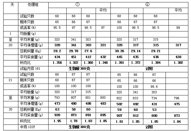 博猫游戏
