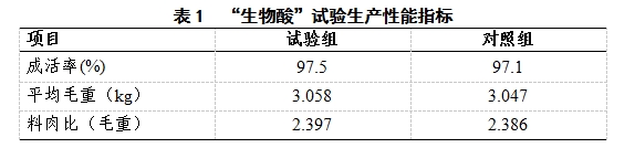 博猫游戏