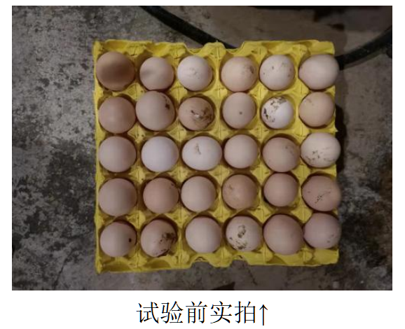 博猫游戏·(中国)官网登录入口