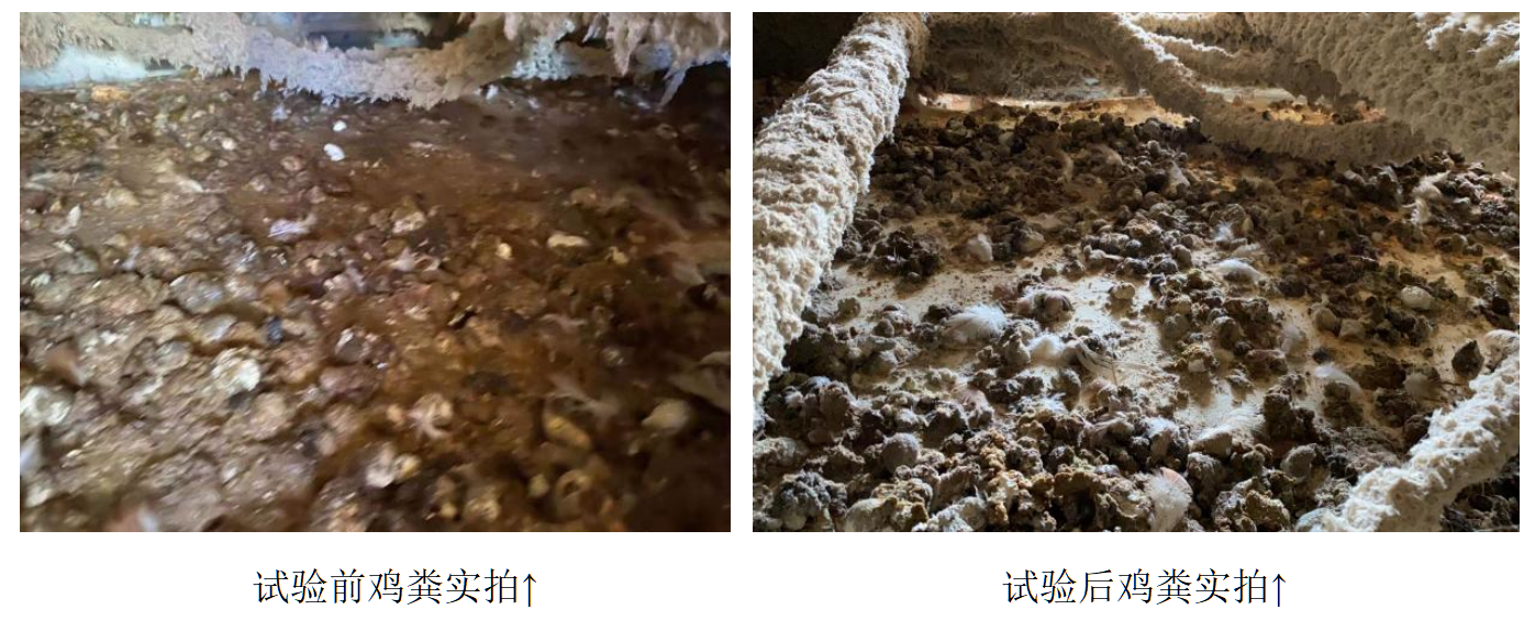 博猫游戏·(中国)官网登录入口