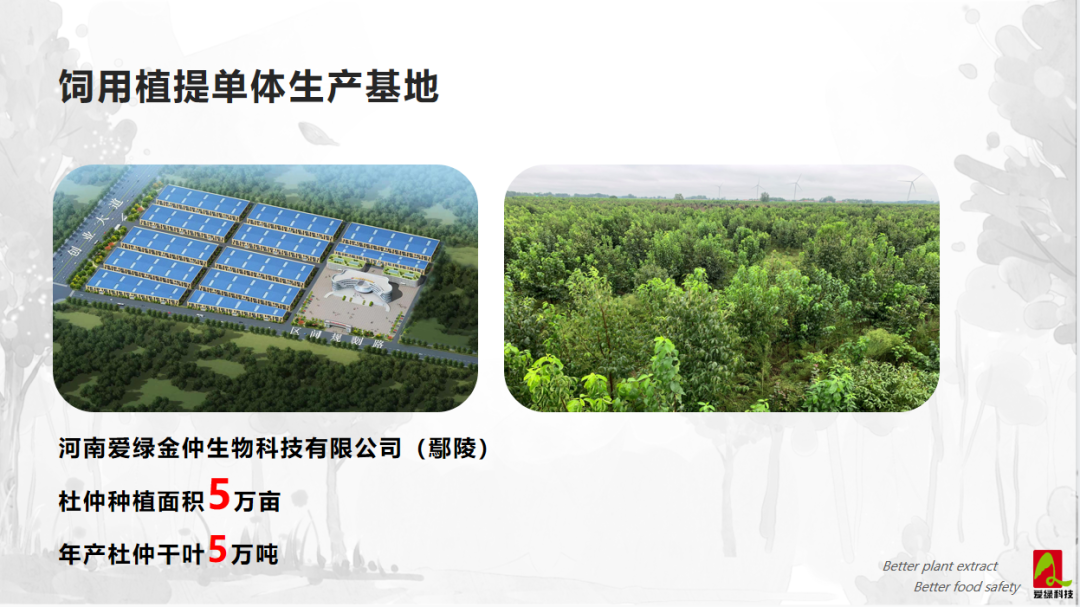 博猫游戏·(中国)官网登录入口